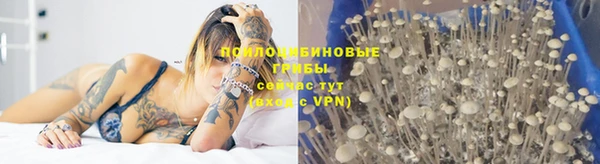 трава Володарск