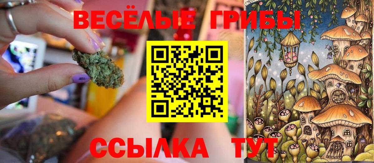Муром  Галлюциногенные грибы Psilocybine cubensis  Псилоцибиновые грибы Psilocybe  Вход с VPN 